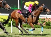 Tai Commands<br>Photo by Singapore Turf Club